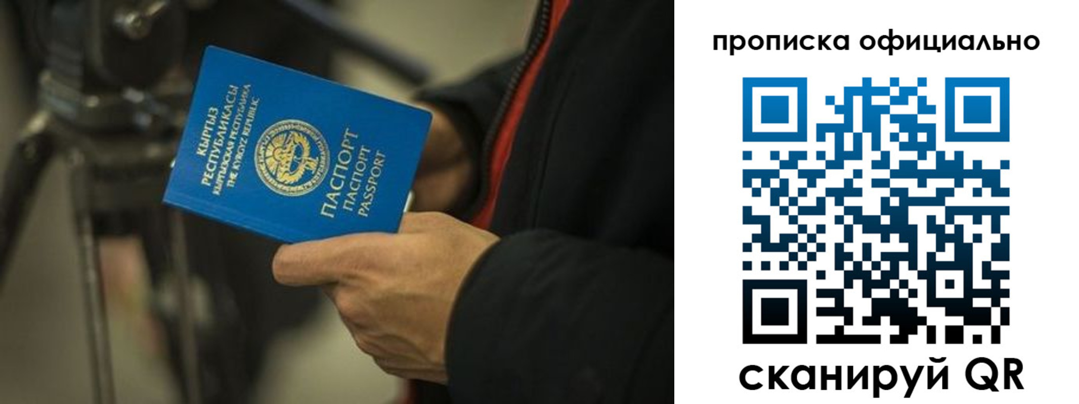 прописка в Ростове